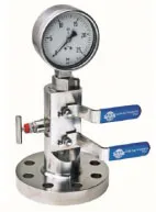 Integral DBB Valves