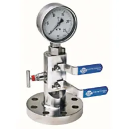 Integral DBB Valves