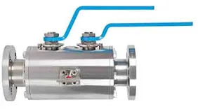 Piping DBB Valves