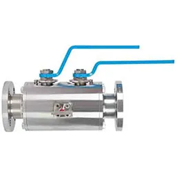 Piping DBB Valves