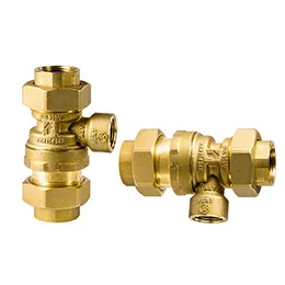 Dual Check Valve - Atmospheric Vent