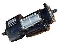 Dump Pump - C102