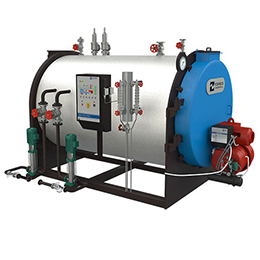MiniMax Compact Packaged Boiler