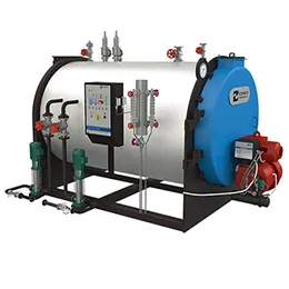 DynaMax Small Industrial Boilers