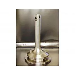 Suction Valves and Discharge Valves