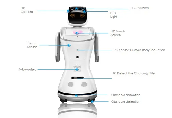 Social Robot