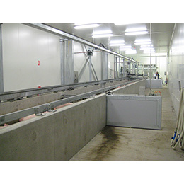 Automatic Runway system for pigs