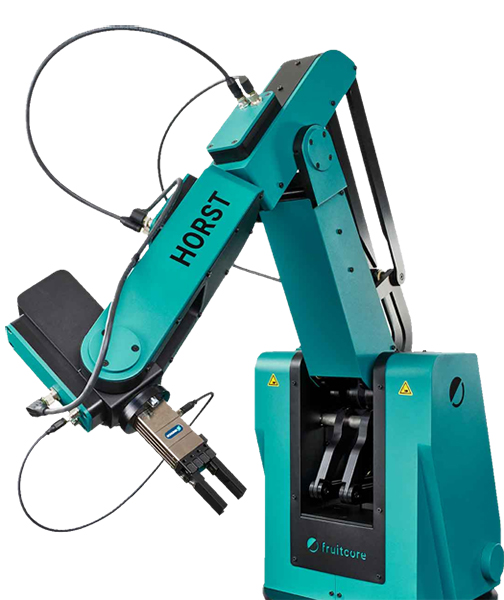 Industrial robot HORST900