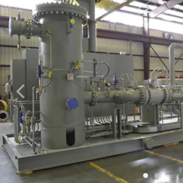 FUEL GAS CONDITIONING