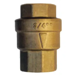 BRASS CHECK VALVE