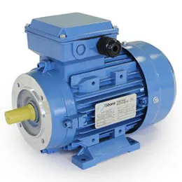 three phase gibbons electric motors