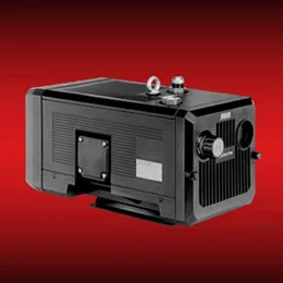 DRY ROTARY VANE PUMP