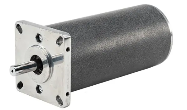 115 FWR DC Motor