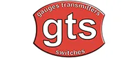 Fuel Level Sensor TLL171