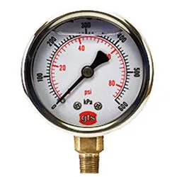 Pressure Gauges Bottom Conn GTS 50 mm