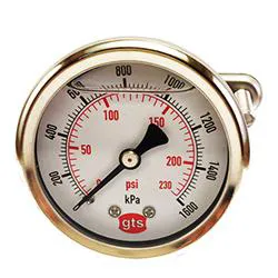 Pressure Gauges Rear Conn GTS 50 mm