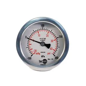 Tecsis Model P2033 Pressure Gauge 63mm Rear Entry
