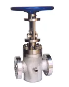 Polymer gate valve