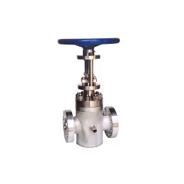 Polymer gate valve