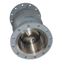 Spring type axial check valve