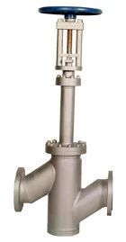 Straight pattern globe valve