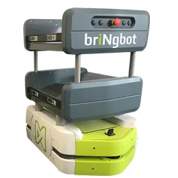 BriNgbot