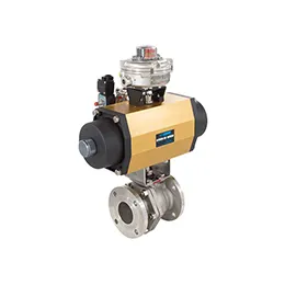 CSA-FM VCI Floating Ball Valves