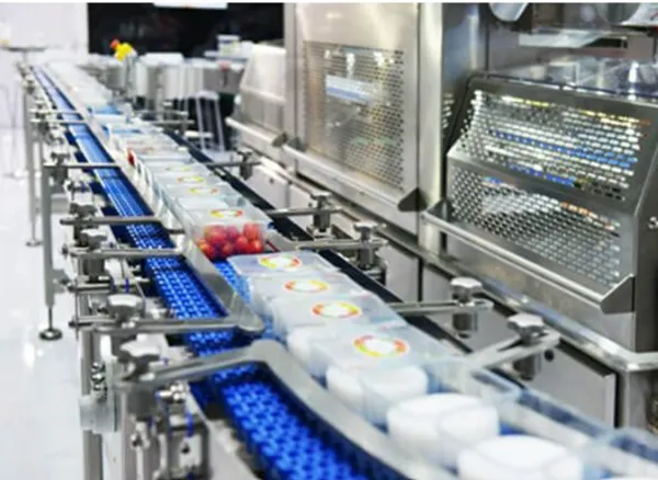 Conveyor Systems