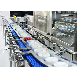 Conveyor Systems