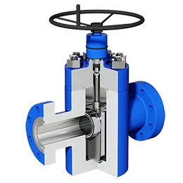 gate valve