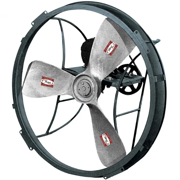 Ring Fans