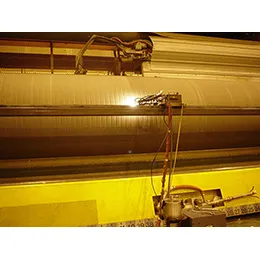 Plasma Spray Coating