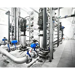 Pumps and Valves