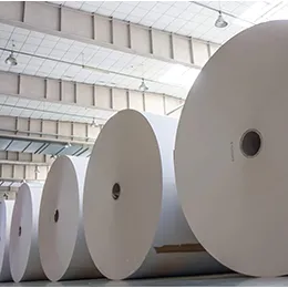 Pulp & Paper