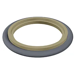 Buffer seals