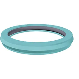 Crown Seal
