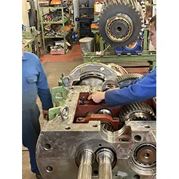 Extruder Gearbox