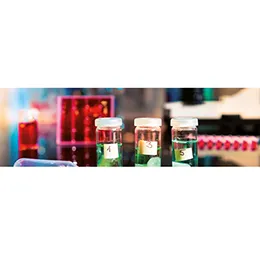 CHEMICAL PROCESS PHARMACEUTICAL INDUSTRY