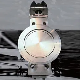 Forged Titanium Butterfly Valve