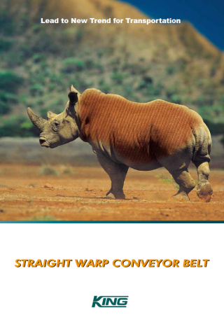 Straight Warp Conveyor Belt