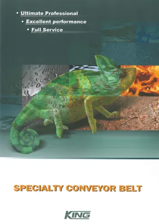 Specialty Conveyor Belt