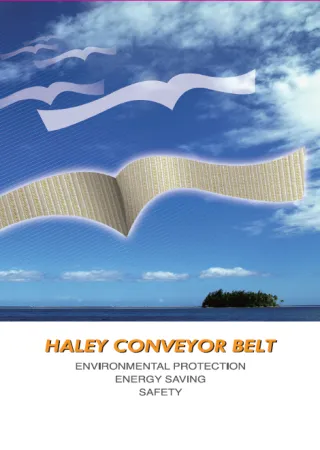 Haley conveyor Belt