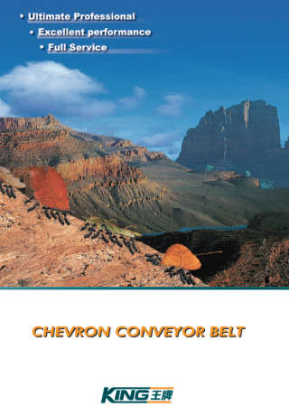 Chevron Conveyor Belt