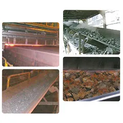 Specialty Conveyor Belts