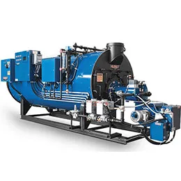 Series 250 Boilers