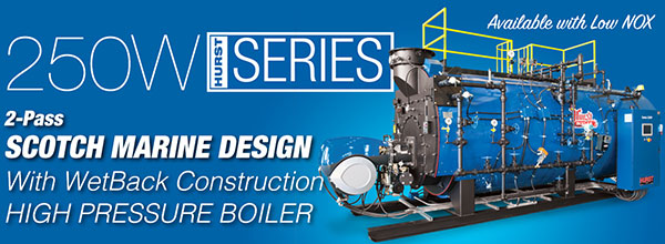 Series 250W Boilers