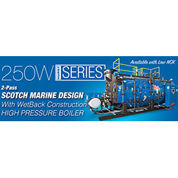 Series 250W Boilers