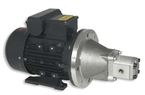 AC Pump Motor
