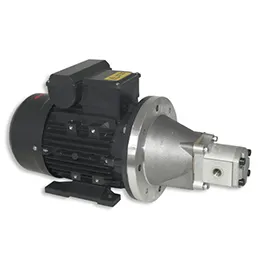 AC Pump Motor