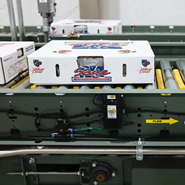 Zero-Pressure Accumulation Conveyor